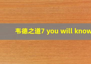 韦德之道7 you will know